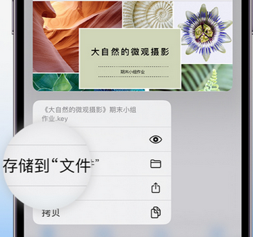 安岳apple维修中心分享iPhone文件应用中存储和找到下载文件