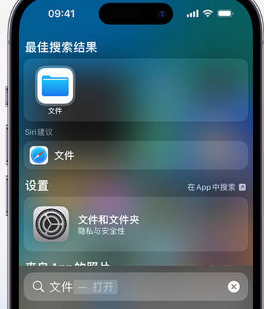 安岳apple维修中心分享iPhone文件应用中存储和找到下载文件 