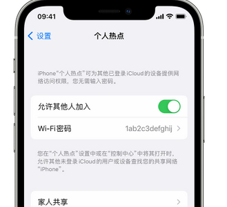 安岳apple服务站点分享iPhone上个人热点丢失了怎么办 