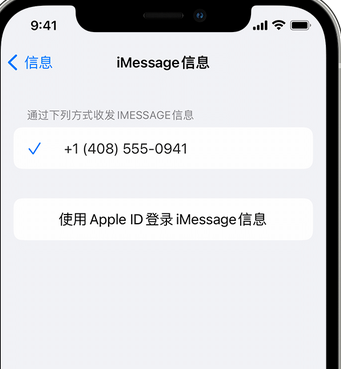 安岳apple维修iPhone上无法正常发送iMessage信息