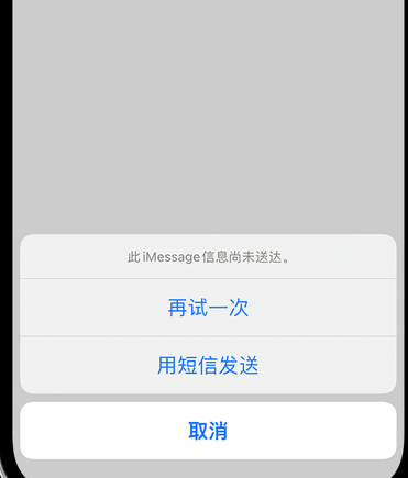 安岳apple维修iPhone上无法正常发送iMessage信息