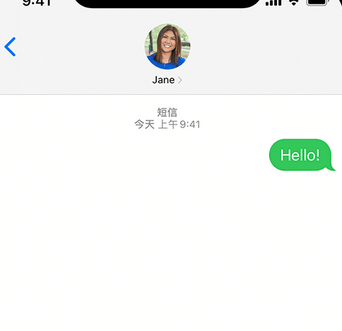 安岳apple维修iPhone上无法正常发送iMessage信息