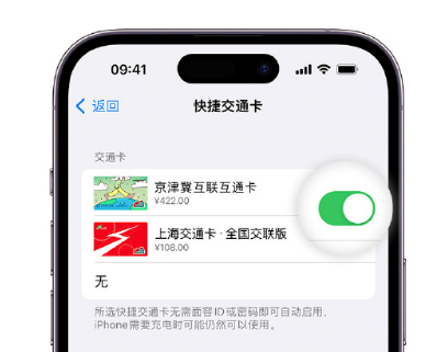 安岳apple维修点分享iPhone上更换Apple Pay快捷交通卡手绘卡面 