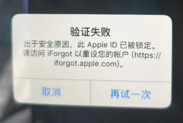 安岳iPhone维修分享iPhone上正常登录或使用AppleID怎么办 