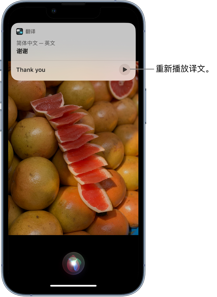 安岳苹果14维修分享 iPhone 14 机型中使用 Siri：了解 Siri 能帮你做什么 