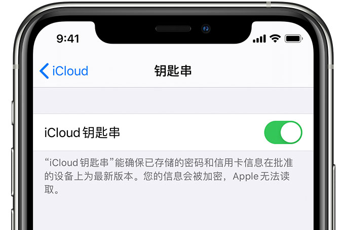 安岳苹果手机维修分享在 iPhone 上开启 iCloud 钥匙串之后会储存哪些信息 